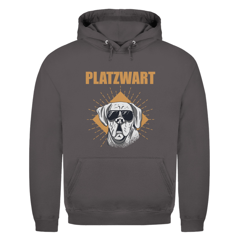 Platzwart - MĂ€nner Hoodie - Campingfamilie.de